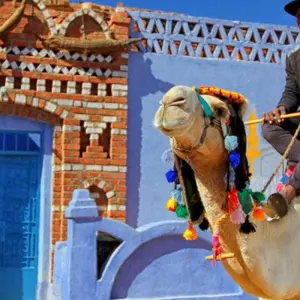 Explore 8 Days Nubian Dream Voyage for 8 days with AB Voyages Egypt and discover unforgettable experiences - Photo 5