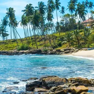 Explore Discover Sri Lanka Beauty - Luxury 5 Star Stay for 12 days with ASY Tours Sri Lanka and discover unforgettable experiences - Photo 3