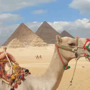 Explore Best of Turkey, Egypt & Jordan (Istanbul/Cappadocia/Cairo/Nile cruise/Petra)All flights included for 14 days with AB Voyages Egypt and discover unforgettable experiences - Photo 9