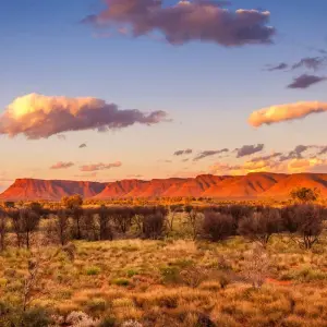 Explore Red Centre Highlights (Short Break) for 4 days with AAT Kings and discover unforgettable experiences - Photo 3