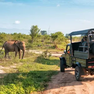 Explore Grand Tour Sri Lanka for 14 days with ASY Tours Sri Lanka and discover unforgettable experiences - Photo 5