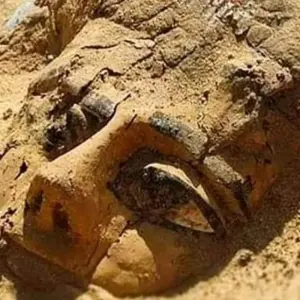 Explore GLORY OF  EGYPT (Cairo/ Nile cruise/Mount Sinai) including flights for 10 days with AB Voyages Egypt and discover unforgettable experiences - Photo 11