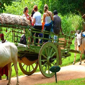 Explore Discover Sri Lanka Beauty - Luxury 5 Star Stay for 12 days with ASY Tours Sri Lanka and discover unforgettable experiences - Photo 6