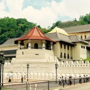 Explore Golden Sri Lanka - 8 Days 7 Nights for 8 days with ASY Tours Sri Lanka and discover unforgettable experiences - Photo 6