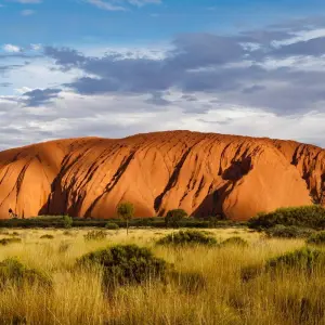 Explore Red Centre Highlights (Short Break) for 4 days with AAT Kings and discover unforgettable experiences - Photo 6
