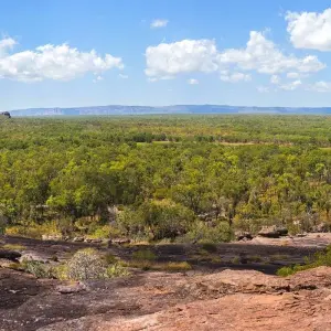 Explore Kakadu and Arnhemland (Short Break) for 2 days with AAT Kings and discover unforgettable experiences - Photo 2