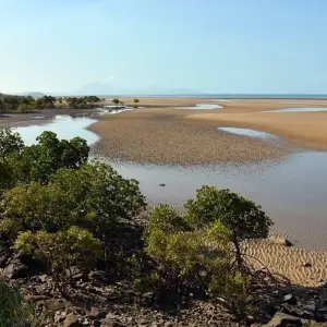 Explore Kakadu and East Alligator River (Short Break) for 2 days with AAT Kings and discover unforgettable experiences - Photo 3