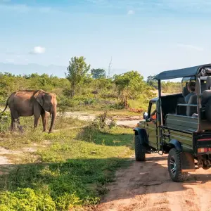 Explore Golden Sri Lanka - 8 Days 7 Nights for 8 days with ASY Tours Sri Lanka and discover unforgettable experiences - Photo 11