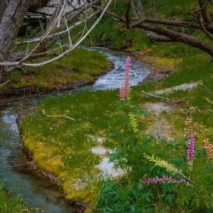 Explore Southern Spectacular (2025/26) for 10 days with AAT Kings and discover unforgettable experiences - Photo 4