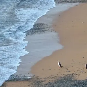 Explore Southern Spectacular (2025/26) for 10 days with AAT Kings and discover unforgettable experiences - Photo 6