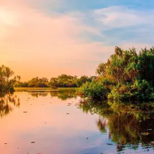 Explore Kakadu and Arnhemland (Short Break) for 2 days with AAT Kings and discover unforgettable experiences - Photo 7