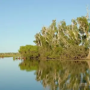 Explore Kakadu and Arnhem Land Explorer (Short Break) for 3 days with AAT Kings and discover unforgettable experiences - Photo 6