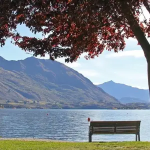 Explore Southern Spectacular (2025/26) for 10 days with AAT Kings and discover unforgettable experiences - Photo 8