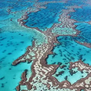 Explore Highlights of Australia and New Zealand (With Internal Air, 2025/2026) for 22 days with AAT Kings and discover unforgettable experiences - Photo 9