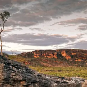 Explore Northern Territory Explorer (Base Tour, 2025/2026, Best Buys) for 11 days with AAT Kings and discover unforgettable experiences - Photo 7