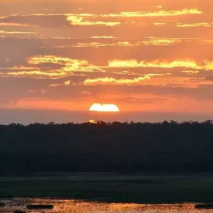 Explore Kakadu and Arnhem Land Explorer (Short Break) for 3 days with AAT Kings and discover unforgettable experiences - Photo 8