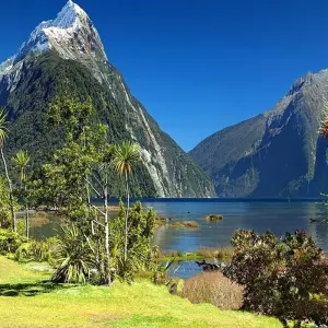 Explore Southern Spectacular (2025/26) for 10 days with AAT Kings and discover unforgettable experiences - Photo 9