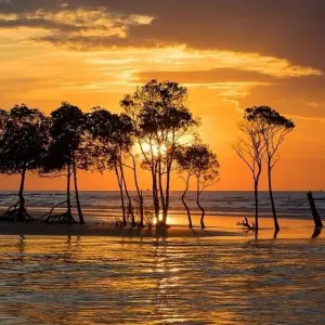 Explore Kakadu and East Alligator River (Short Break) for 2 days with AAT Kings and discover unforgettable experiences - Photo 10