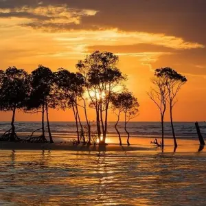 Explore Kakadu and Arnhem Land Explorer (Short Break) for 3 days with AAT Kings and discover unforgettable experiences - Photo 11