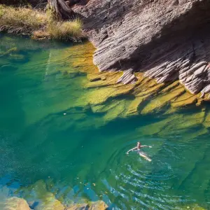 Explore Untamed Pilbara and West Coast (2026/2027) for 13 days with AAT Kings and discover unforgettable experiences - Photo 9