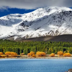 Explore Contrasts Of New Zealand (With Internal Air, 2025/2026) for 10 days with AAT Kings and discover unforgettable experiences - Photo 6