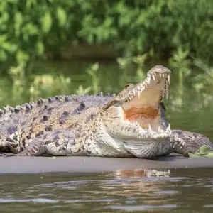 Explore Top End Highlights for 6 days with AAT Kings and discover unforgettable experiences - Photo 3