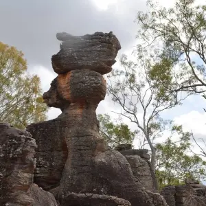 Explore Top End Highlights for 6 days with AAT Kings and discover unforgettable experiences - Photo 4