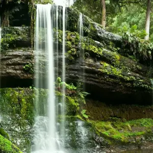 Explore Tassie's Parks and Nature for 7 days with AAT Kings and discover unforgettable experiences - Photo 3