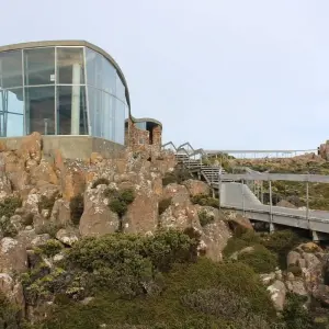 Explore Tassie's Parks and Nature for 7 days with AAT Kings and discover unforgettable experiences - Photo 5