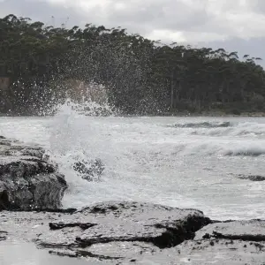 Explore Tassie's Parks and Nature for 7 days with AAT Kings and discover unforgettable experiences - Photo 7