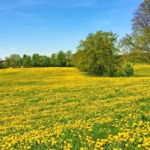 Explore Munich Lakes Tour 5 Days for 5 days with ASI Reisen and discover unforgettable experiences - Photo 2