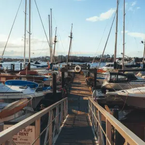 Explore Alaska by Sea and Land Vancouver → Fairbanks (2025) for 15 days with APT and discover unforgettable experiences - Photo 8