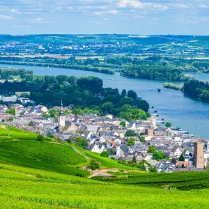 Explore Highlights of the Rhine and Main Amsterdam → Munich (2026) for 8 days with APT and discover unforgettable experiences - Photo 5