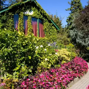 Explore Rockies Odyssey and Alaska Cruise Victoria → Vancouver (2025) for 22 days with APT and discover unforgettable experiences - Photo 7