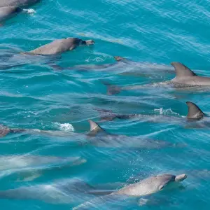 Explore Splendours of the Kimberley and Northern Territory with Kimberley Coastal Expedition  Broome → Broome (2025) for 23 days with APT and discover unforgettable experiences - Photo 4