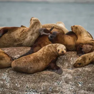 Explore Eastern Canada, Rockies Icons and Alaska Cruise Toronto → Vancouver (2025) for 24 days with APT and discover unforgettable experiences - Photo 9