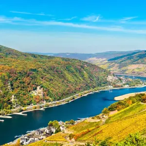 Explore Magnificent Europe Amsterdam → Budapest (2026) for 15 days with APT and discover unforgettable experiences - Photo 4
