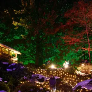 Explore Castles and Festive Winter Wonderland Victoria → Calgary (2026) for 14 days with APT and discover unforgettable experiences - Photo 2