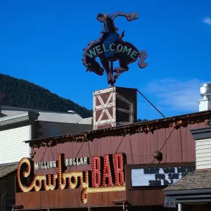 Explore National Park Explorer - Los Angeles Downtown for 12 days with ATP - AlliedTPro and discover unforgettable experiences - Photo 2