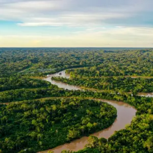 Explore Best of South America with Amazon Cruise Santiago → Iquitos (2026) for 22 days with APT and discover unforgettable experiences - Photo 11