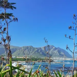 Explore Cape Town, Garden Route and Eastern Cape for 12 days with ATC Group and discover unforgettable experiences - Photo 2