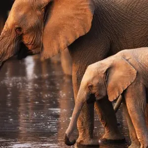 Explore Beautiful Contrasts of Northern Namibia, Private Tour (On Request) for 7 days with ATC Group and discover unforgettable experiences - Photo 5