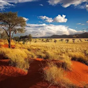 Explore Sossusvlei Region Short Break, Private Tour (On Request) for 4 days with ATC Group and discover unforgettable experiences - Photo 2