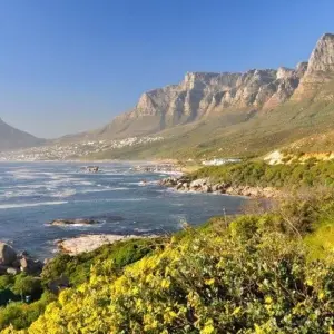 Explore Cape Town's Culture and Cuisine, Private tour for 5 days with ATC Group and discover unforgettable experiences - Photo 2