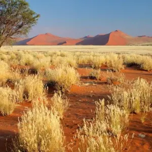 Explore Beautiful Contrasts of Southern Namibia, Private Tour (On Request) for 7 days with ATC Group and discover unforgettable experiences - Photo 2
