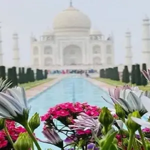 Explore Private Taj Mahal Tour by Gatimaan Express Train-All Inclusive for 1 days with Aalin Tours and discover unforgettable experiences - Photo 10