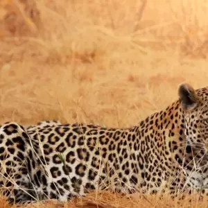 Explore Beautiful Contrasts of Northern Namibia, Private Tour (On Request) for 7 days with ATC Group and discover unforgettable experiences - Photo 7