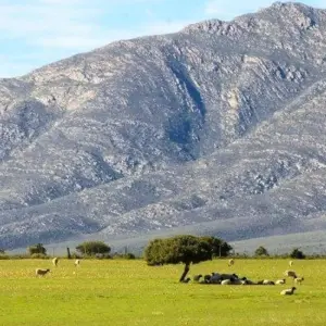 Explore Cape Town, Kruger and Garden Route, Self-Drive for 12 days with ATC Group and discover unforgettable experiences - Photo 4