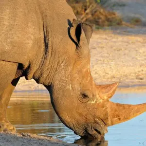 Explore Bush and Beach for 6 days with ATC Group and discover unforgettable experiences - Photo 7