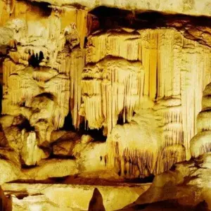 Explore Cape Town, Kruger and Garden Route for 12 days with ATC Group and discover unforgettable experiences - Photo 6